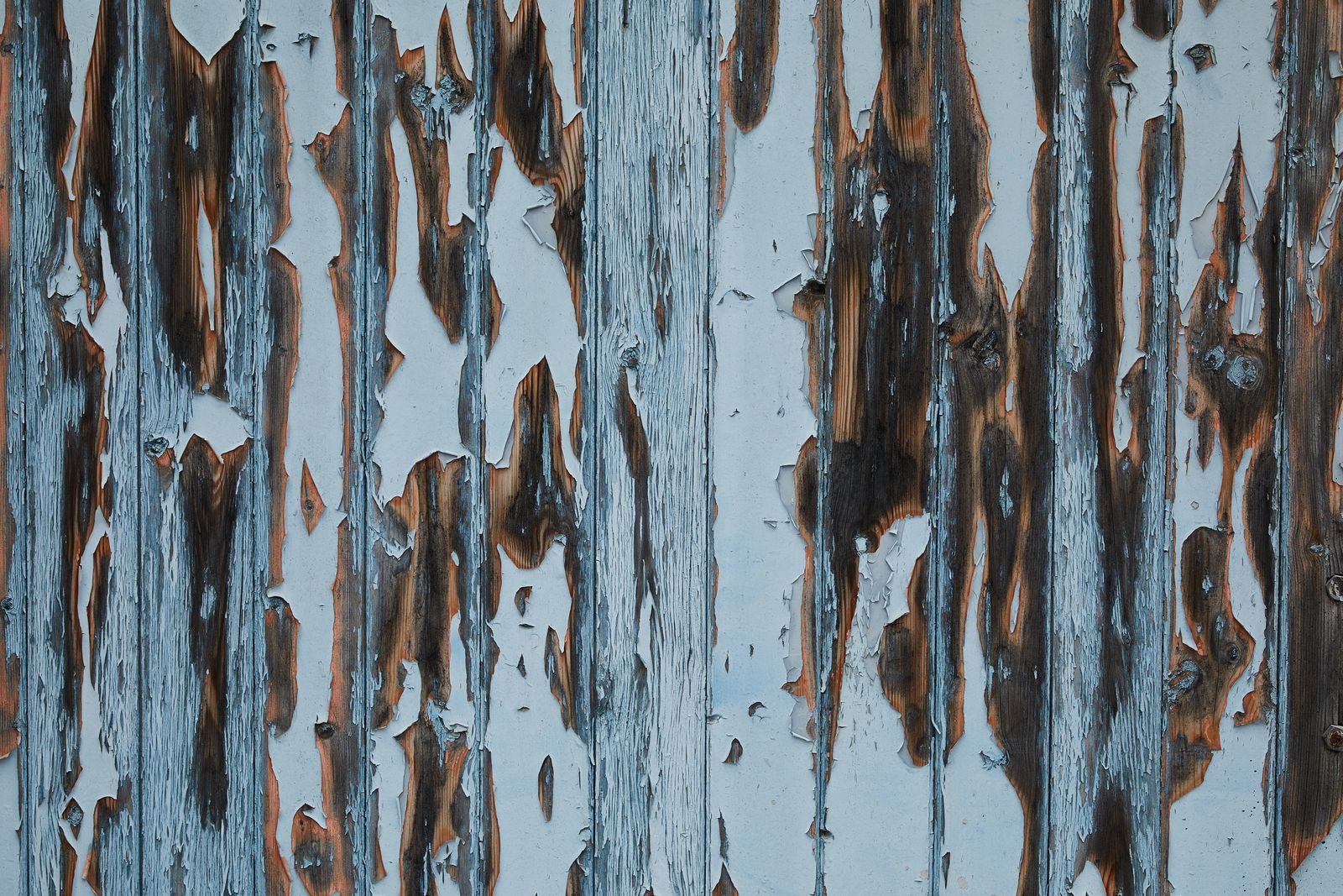 A timber wall with peeling white paint