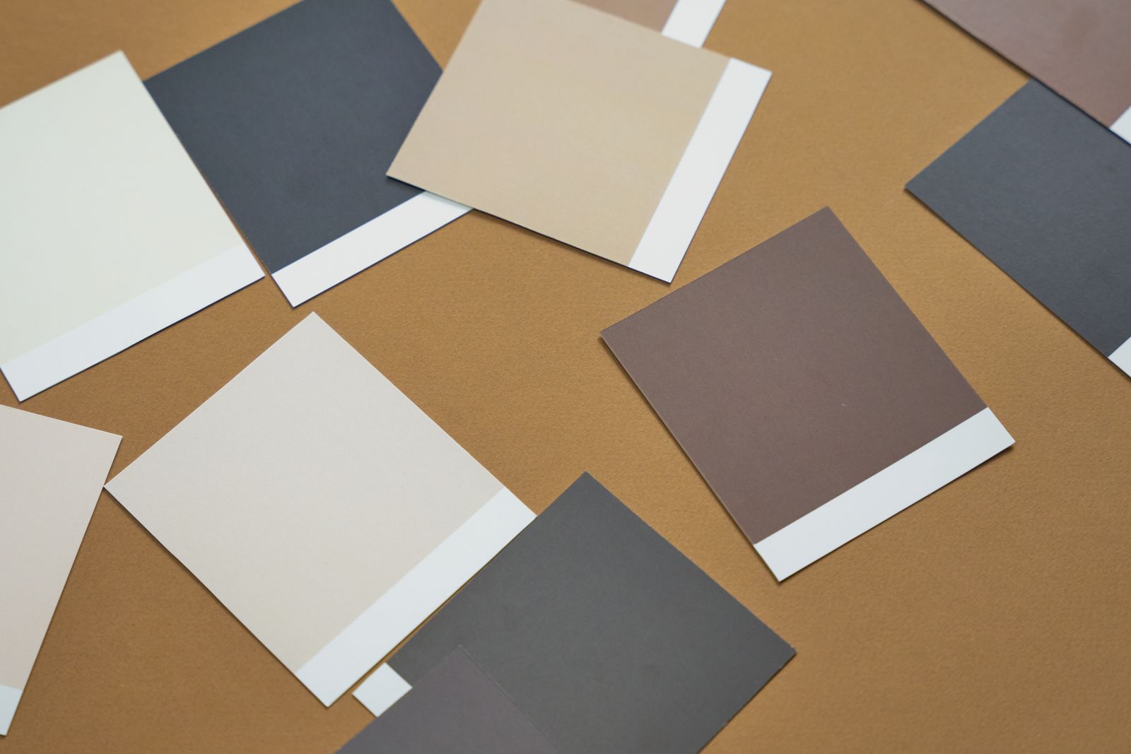 Paint colour swatches