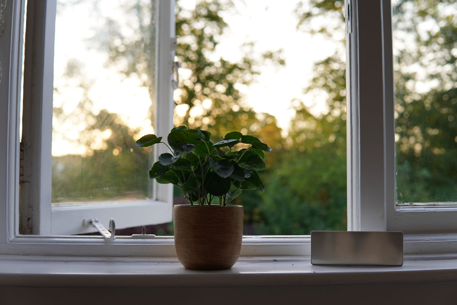 An open window in a bright room